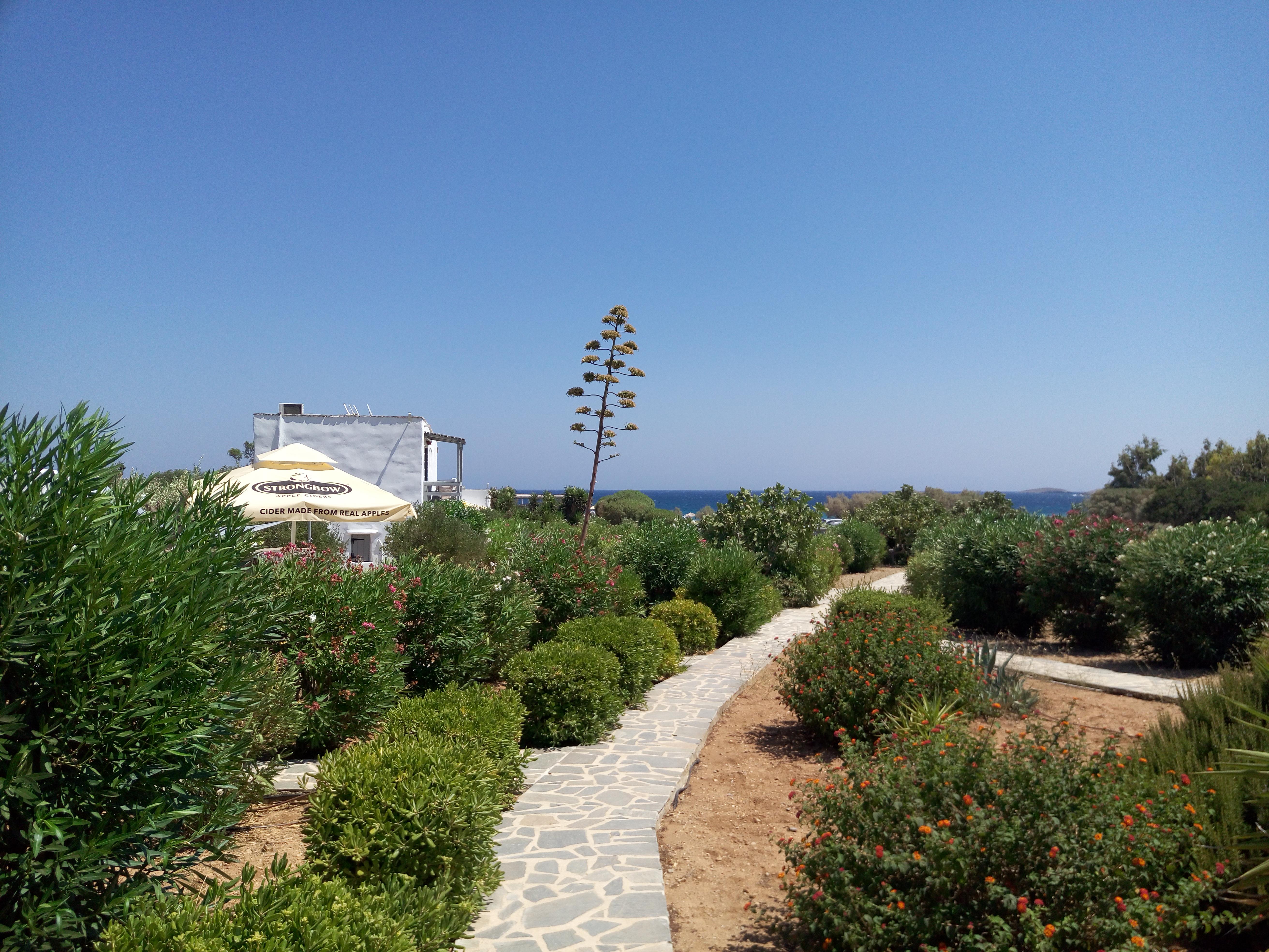 Soros Beach Antiparos Agios Georgios (Antiparos) Exterior foto
