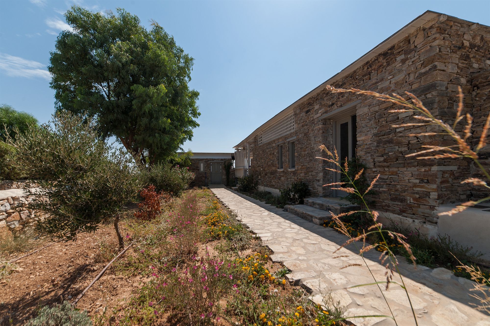 Soros Beach Antiparos Agios Georgios (Antiparos) Exterior foto